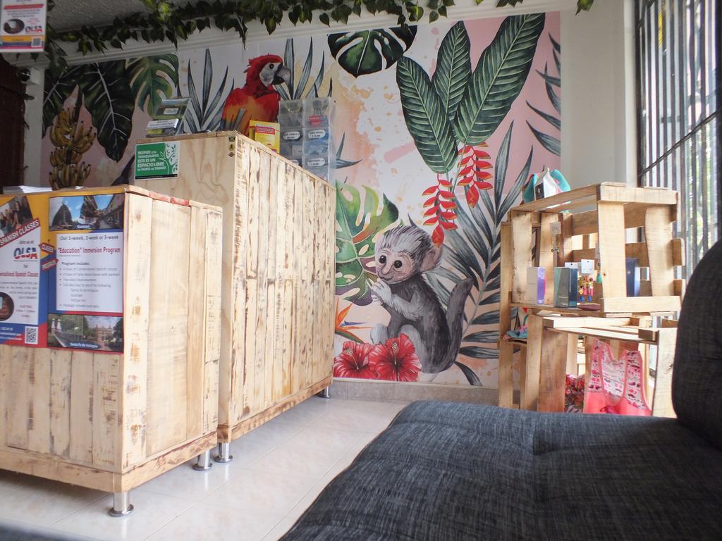 Hostal Casa Paraiso Medellín Zewnętrze zdjęcie